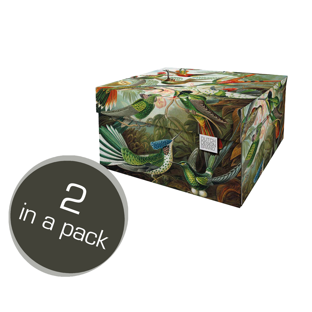 Art of Nature Storage Box Classic