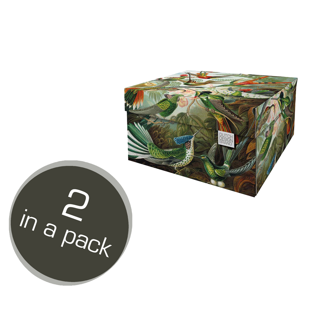 Art of Nature Storage Box Classic