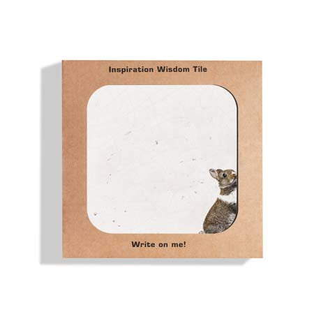 Wisdom Tile Rabbit