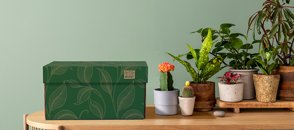 Green Forest Storage Box Classic